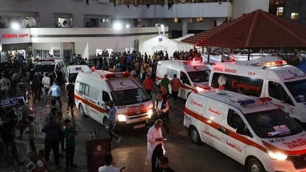 الرئيس نيوز