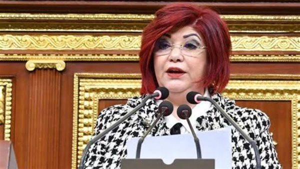 النائبة نورا علي