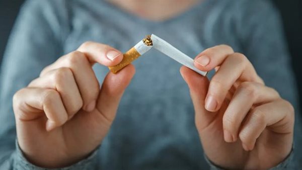 الرئيس نيوز