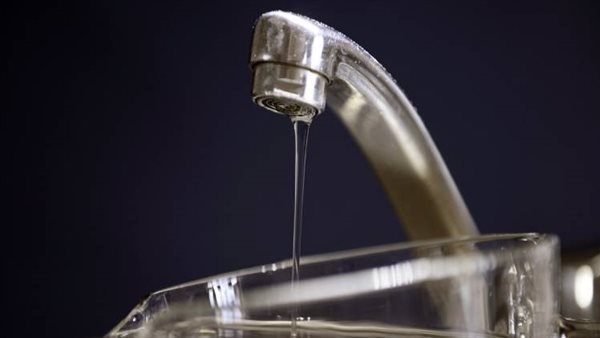 الرئيس نيوز