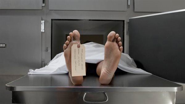 الرئيس نيوز