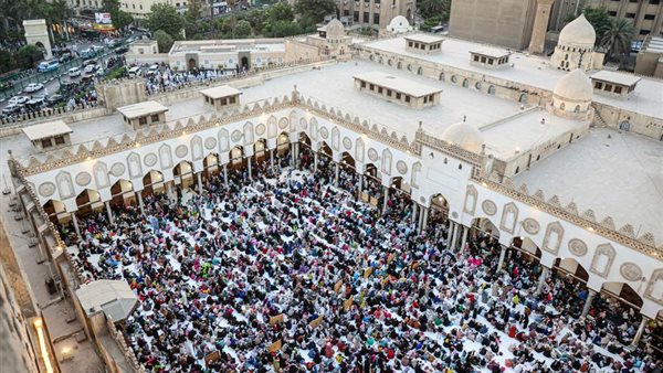 الرئيس نيوز