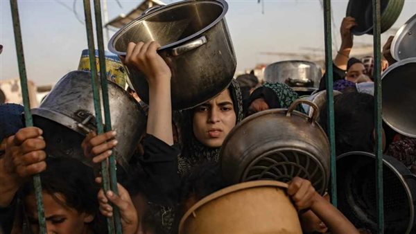 الرئيس نيوز