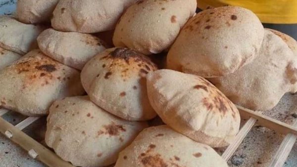 الرئيس نيوز