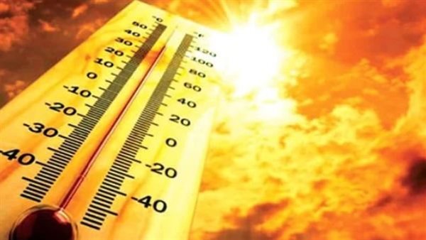 الرئيس نيوز