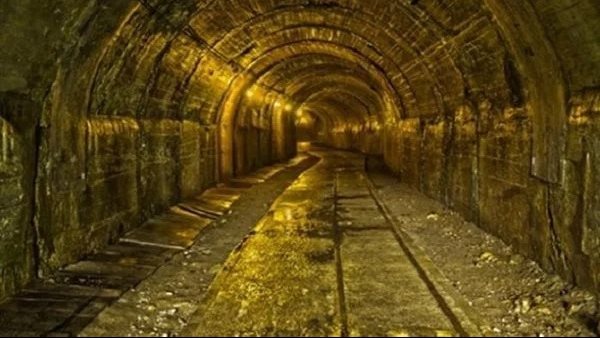 الرئيس نيوز