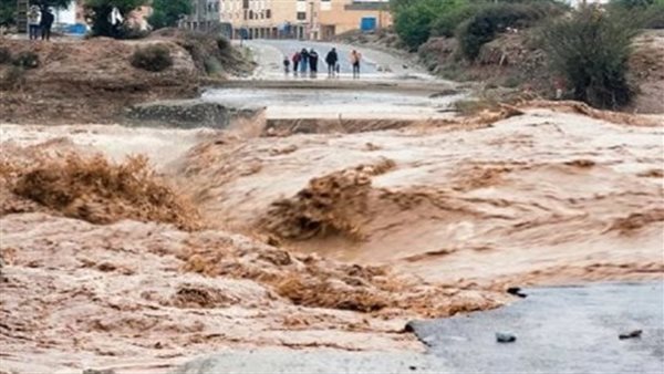 الرئيس نيوز