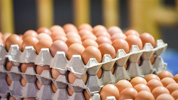 بيض المائدة 