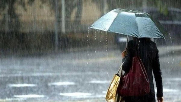 الرئيس نيوز