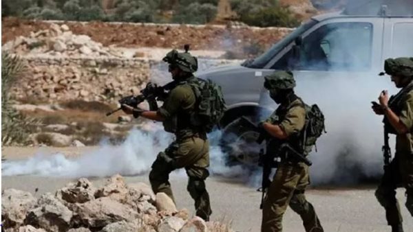 الرئيس نيوز