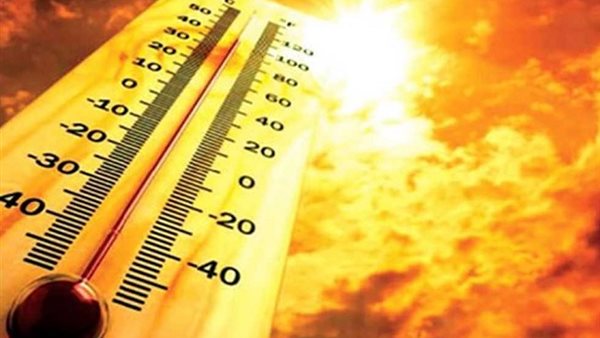 الرئيس نيوز