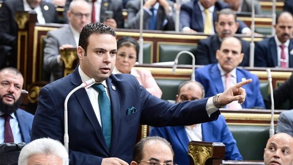 النائب عبد المنعم