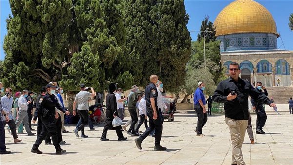 الرئيس نيوز