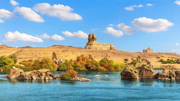 الرئيس نيوز