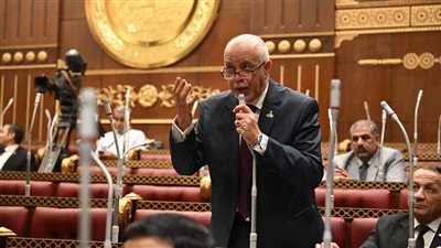 النائب حازم الجندي    