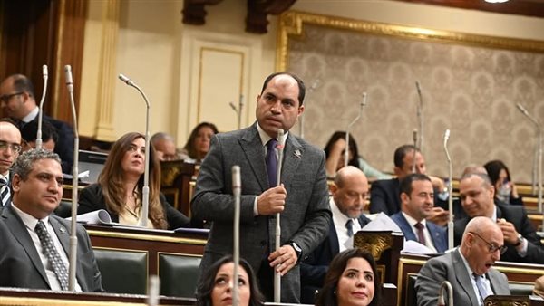 النائب عمرو درويش