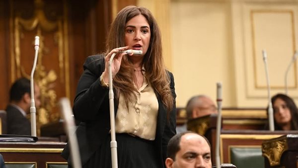 النائبة أميرة العادلي