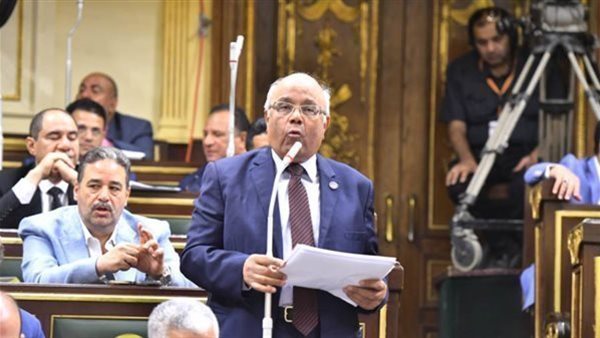 النائب محمد الفيومي