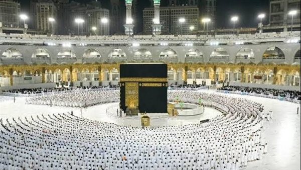 الرئيس نيوز