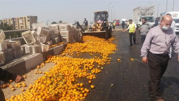 الرئيس نيوز