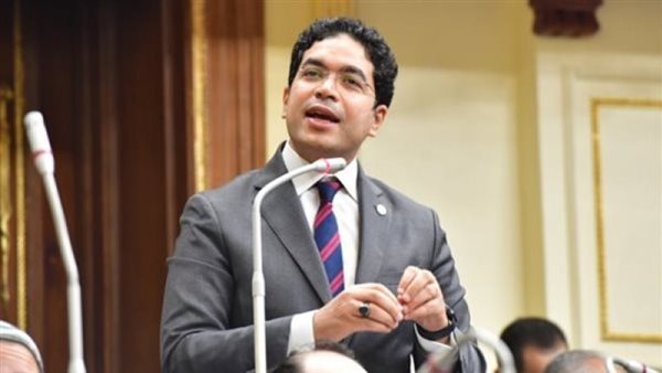 النائب ضياء الدين