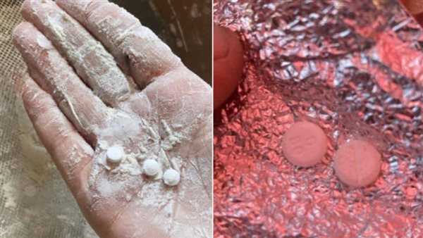 الرئيس نيوز