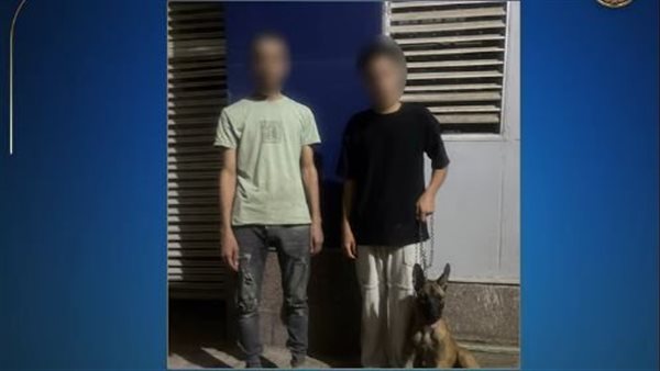 الرئيس نيوز