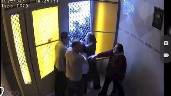 فيديو سيدات المنصورة