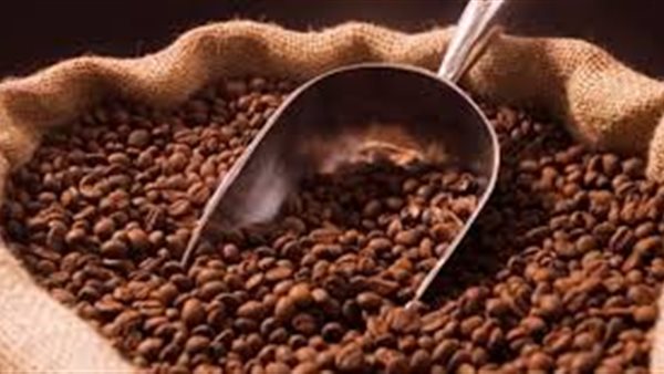 الرئيس نيوز