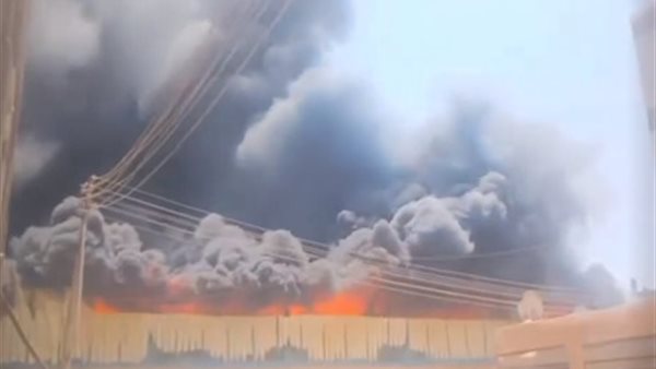 الرئيس نيوز