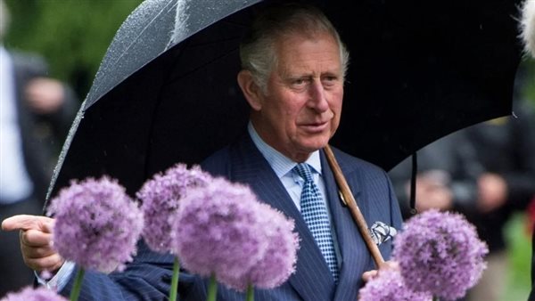 الرئيس نيوز