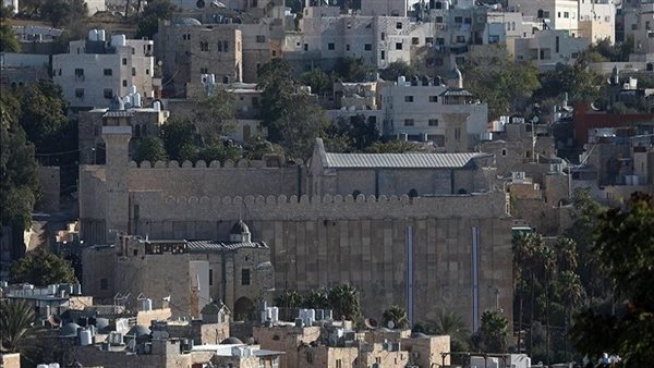 الرئيس نيوز