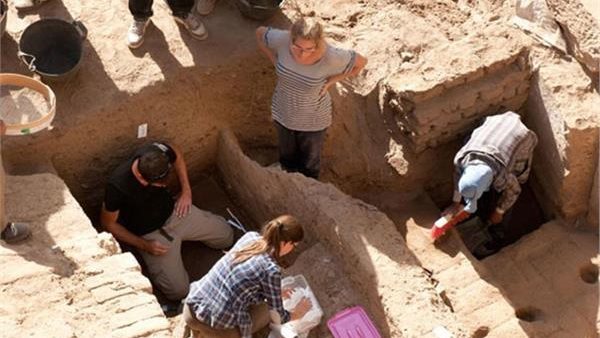 الرئيس نيوز