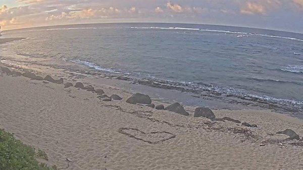 الرئيس نيوز