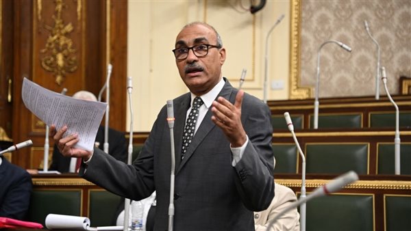 النائب إيهاب منصور