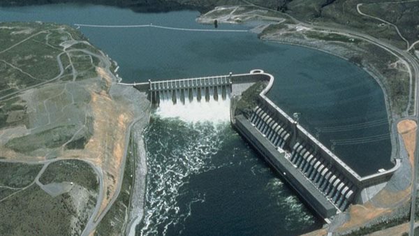 الرئيس نيوز