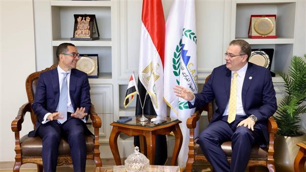 لقاء وزير الاستثمار