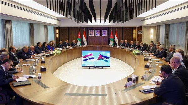 اللجنة العليا المصرية