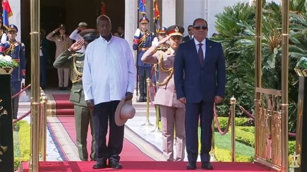 الرئيس نيوز