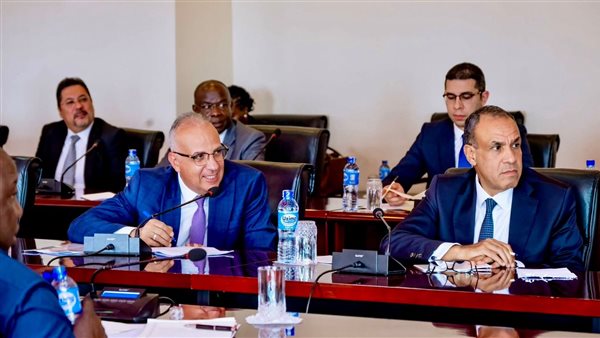 وزيرا الخارجية والري