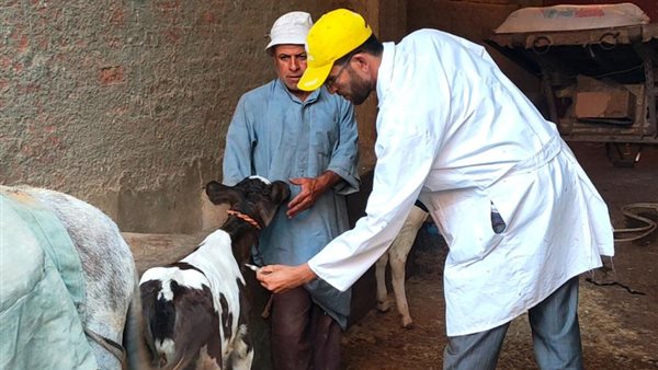 الرئيس نيوز