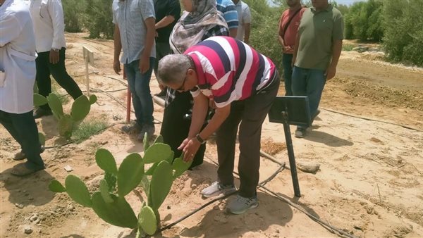 بحوث الصحراء 