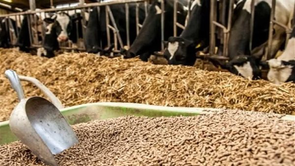 الأعلاف الحيوانية