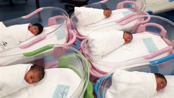 الرئيس نيوز