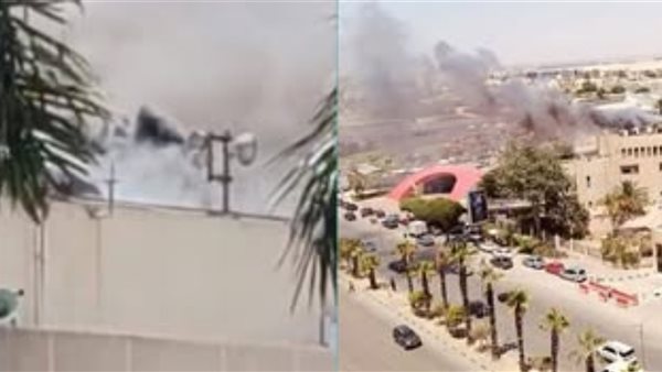 الرئيس نيوز