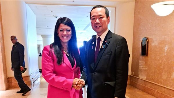 لقاء وزيرة التخطيط