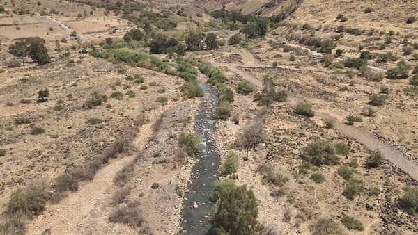 الرئيس نيوز