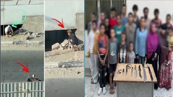 الرئيس نيوز