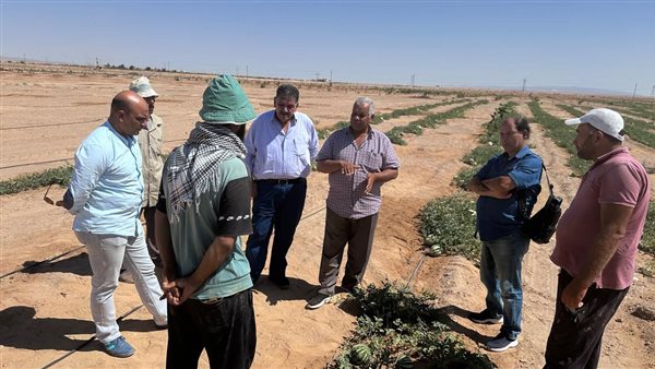 إرشادات بحوث الصحراء