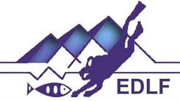 الرئيس نيوز